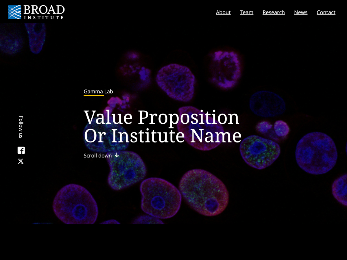 Broad Gamma screenshot