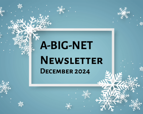 ABIGNET Dec 2024