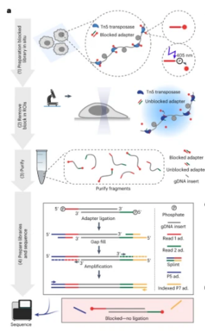 Method schematic