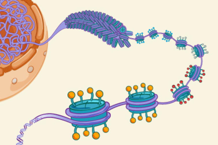 Epigenomics