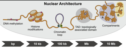 Topology