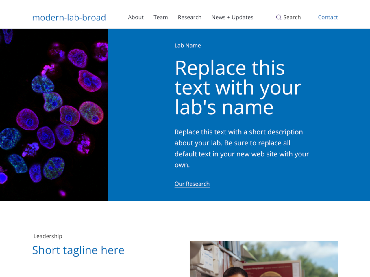 Broad Modern screenshot