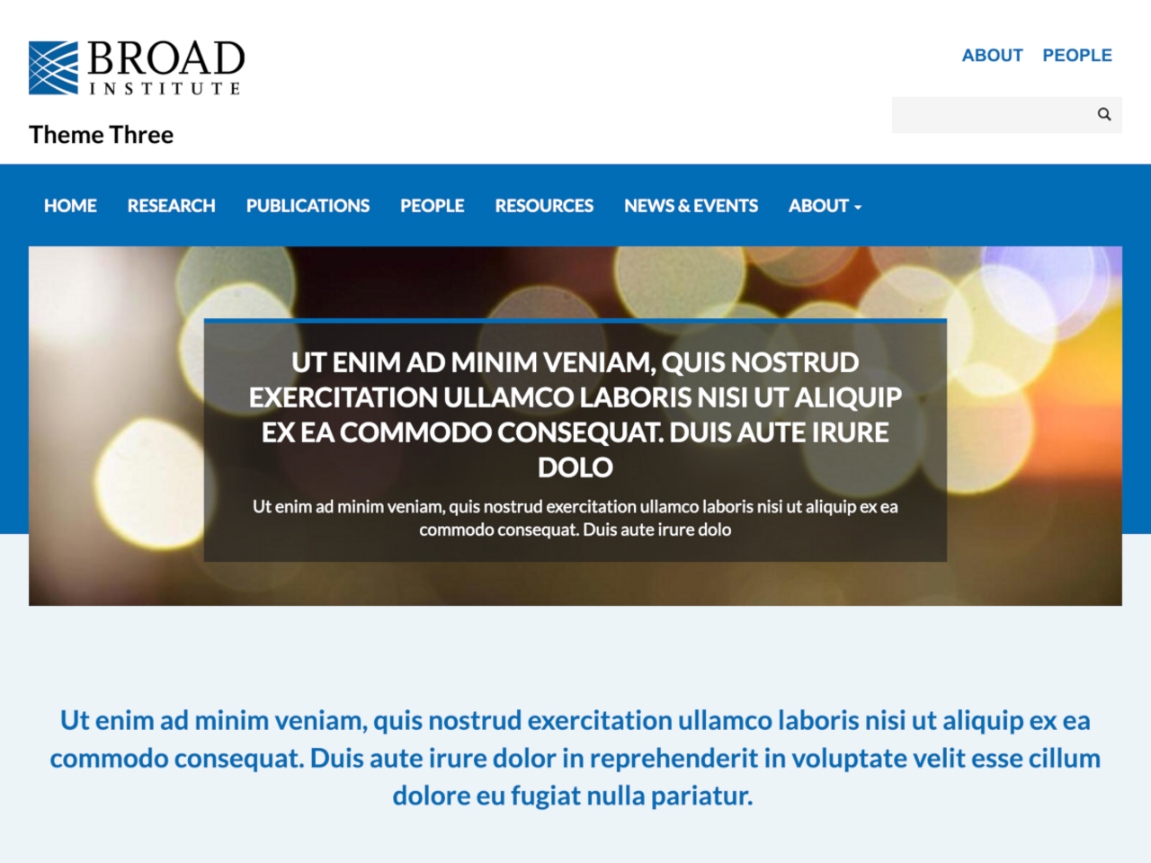 Broad Theme Three screenshot