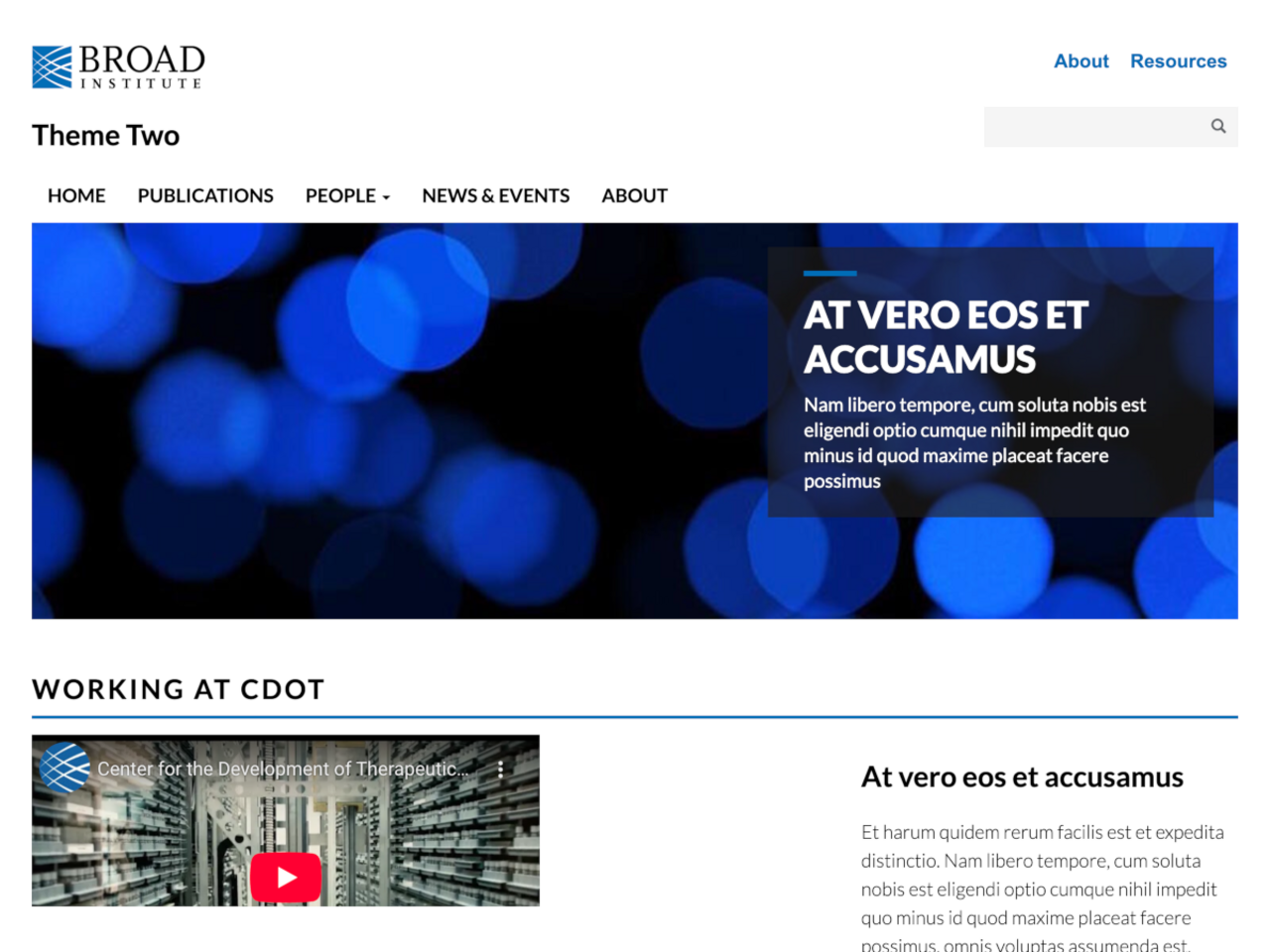 Broad Theme Two screenshot